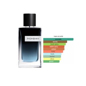 YSL Y EDP Woody Aromatic fragrance for men