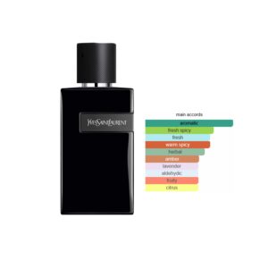YSL Y Le Parfum EDP Amber Fougere fragrance for men
