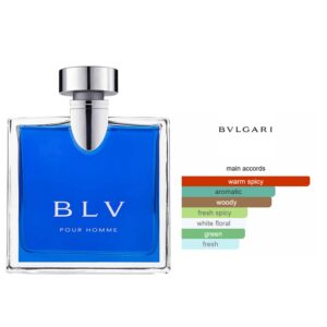 Bvlgari BLV Pour Homme Man EDT Woody Spicy fragrance for men