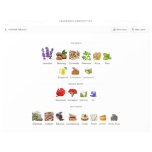 YSL Jazz Woody Aromatic fragrance for men 80ml